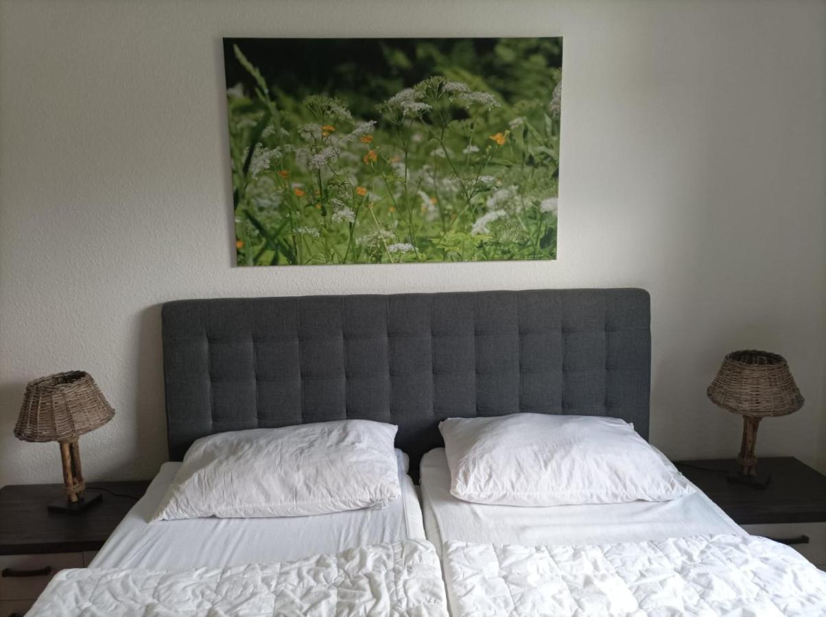 Appartamento Ferienresidenz Wurmbergblick Braunlage Esterno foto